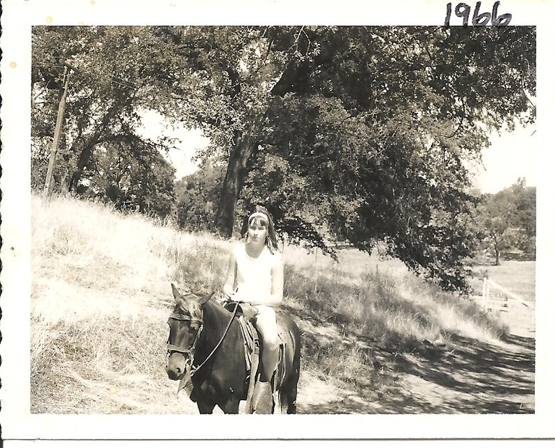 Janet M. Baxter - Photo 4