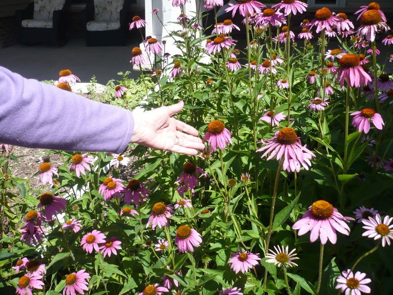 Marie Theresa Tabbert - Photo 6