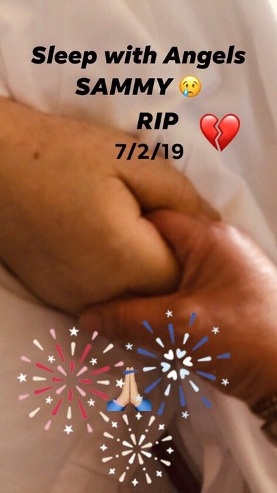 Samuel James Pillizzi - Photo 13