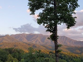 Sharon Ann Samuelson - Photo 3