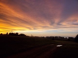 Sharon Ann Samuelson - Photo 5