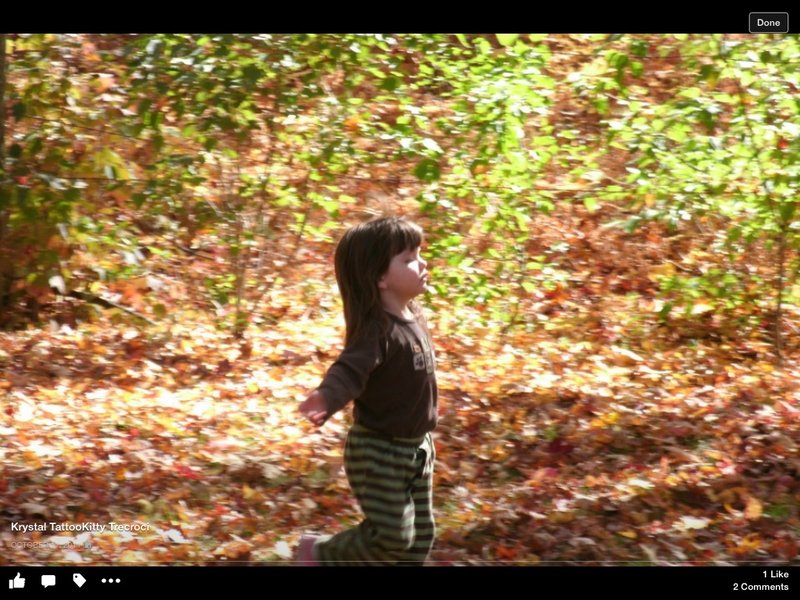 Madaline Trecroci - Photo 34