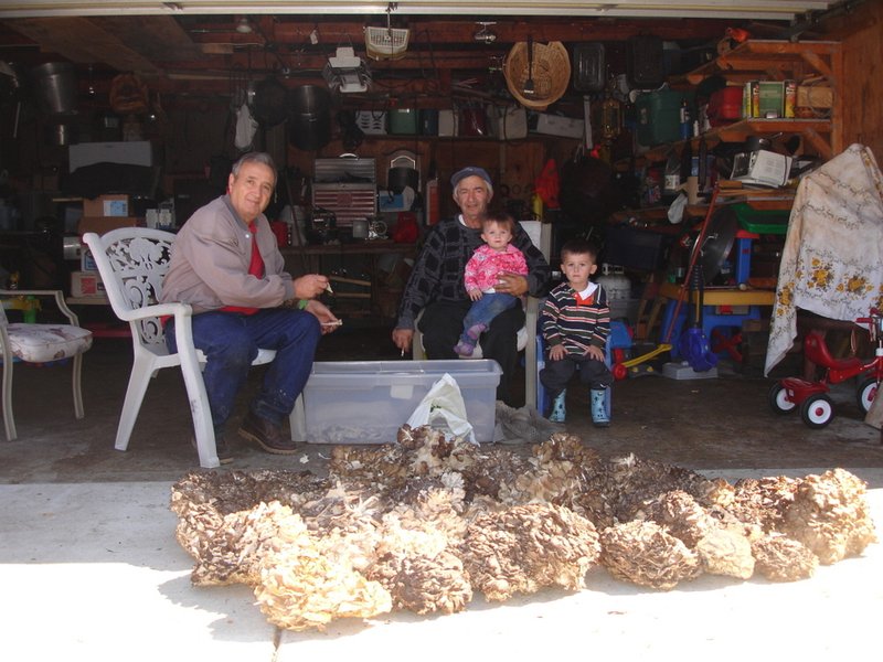 Pierino Ruffolo - Photo 3