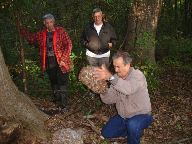 Pierino Ruffolo - Photo 4