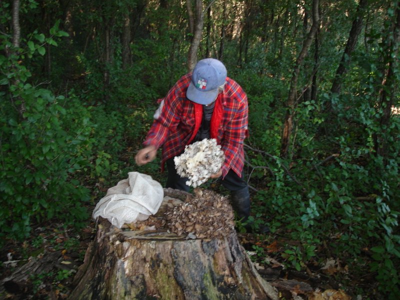 Pierino Ruffolo - Photo 6