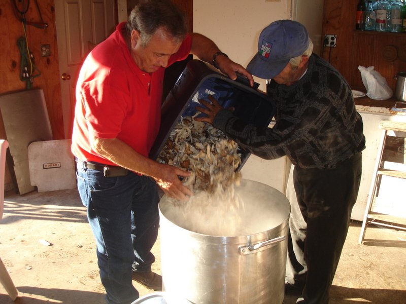 Pierino Ruffolo - Photo 8