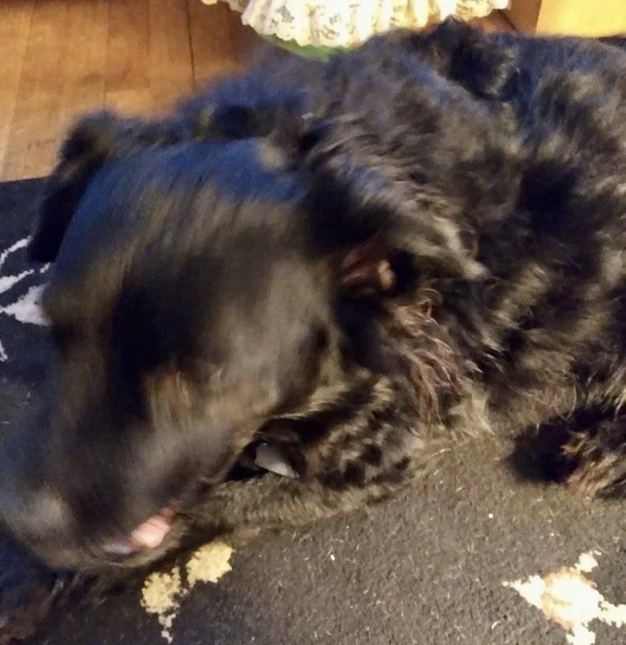 William T. Schopp - Photo 14