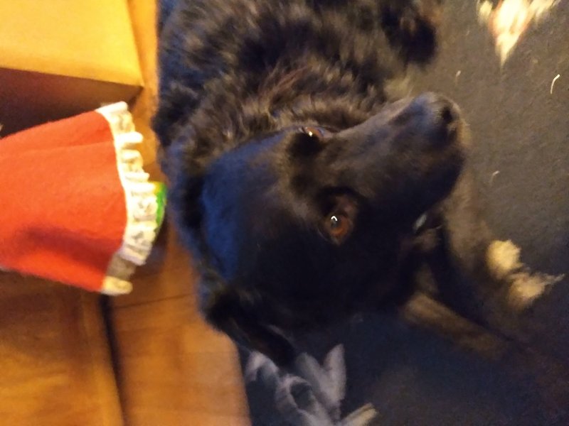 William T. Schopp - Photo 18