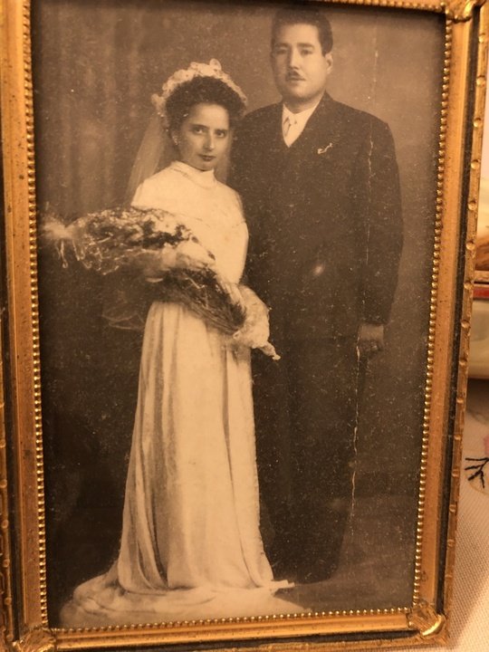 Ada Ziccarelli - Photo 24