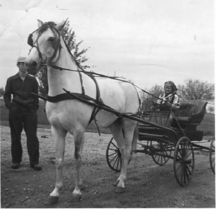 Doria Rae Lichter - Photo 7