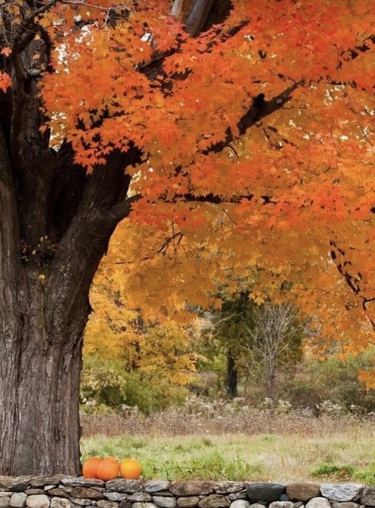 Brian O. Bohleen - Photo 5