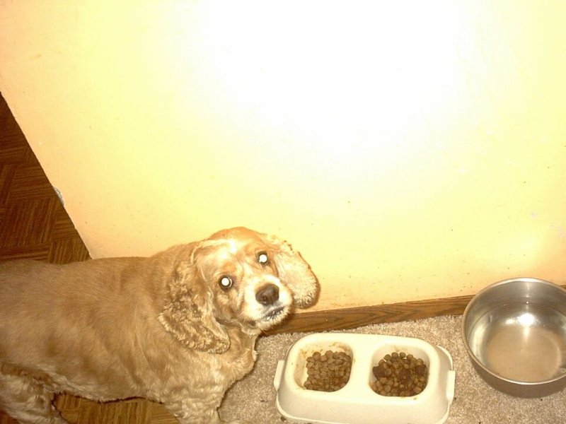 Deborah Louise Parrish - Photo 3