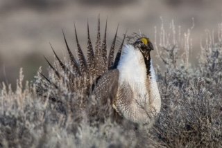 Kevin Charles Nelson - Photo 22