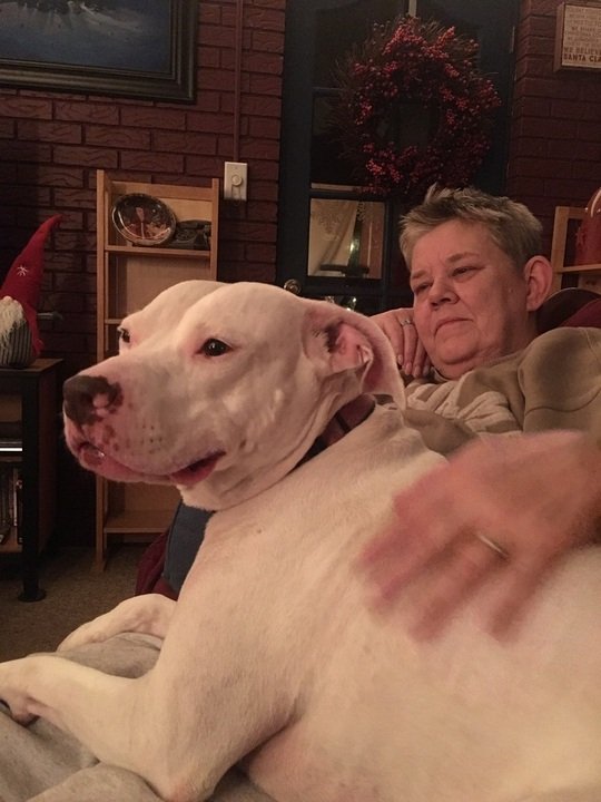 Lois Marie Ford - Photo 21