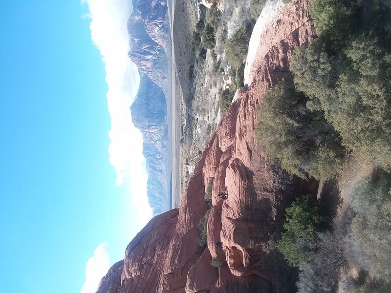 Yvonne Cheryl Zalewski - Photo 9