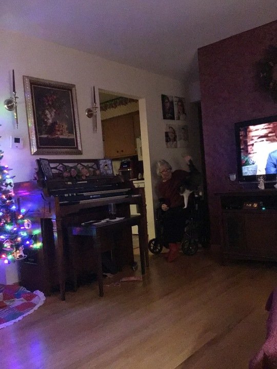 Milica Urosevic - Photo 4