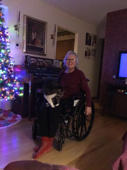 Milica Urosevic - Photo 5