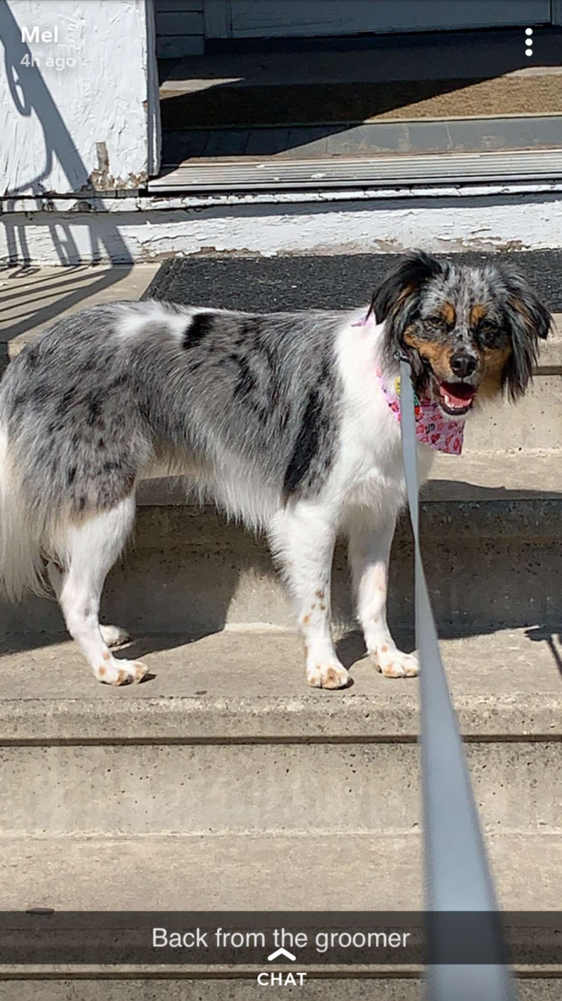 Birl Melburn DeLoach - Photo 107