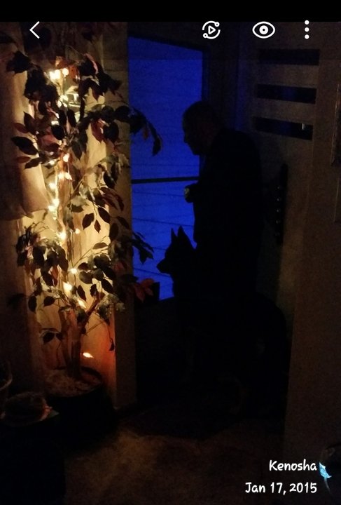 Donald Charles Maegaard - Photo 7