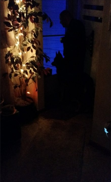 Donald Charles Maegaard - Photo 12