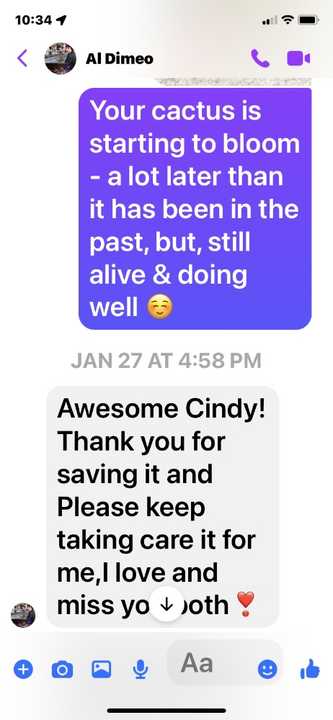 Albert A. Dimeo III - Photo 3