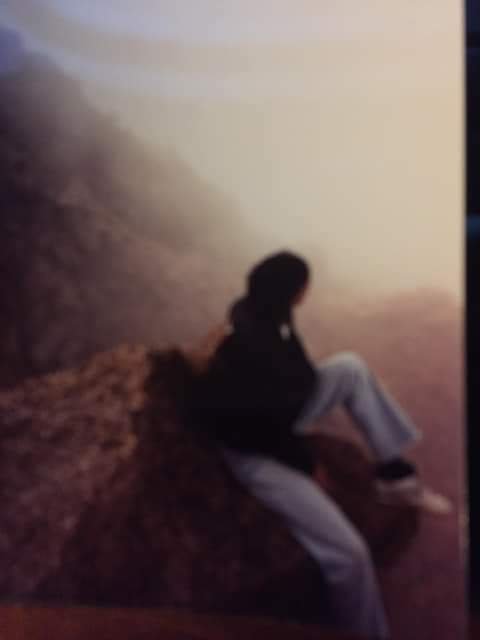 Albert A. Dimeo III - Photo 4