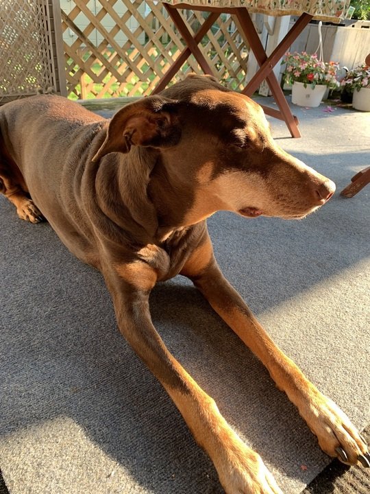 Ronald Anthony Pratt - Photo 7