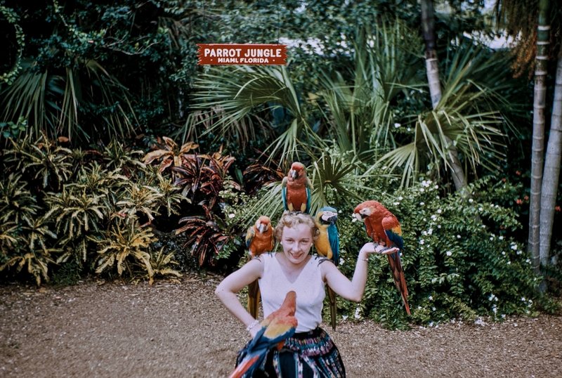 Shirley A Norberg - Photo 12