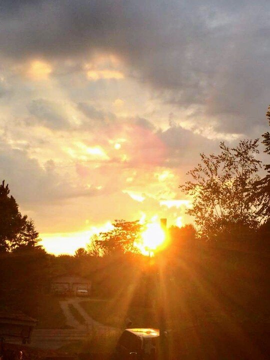 Marilyn Anter Cardello - Photo 3