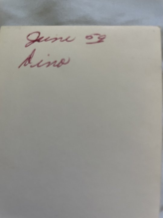 Dino Italo Laurenzi Sr. - Photo 10