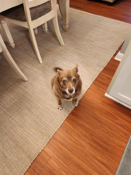 Margret Carolyn Schmitz - Photo 32