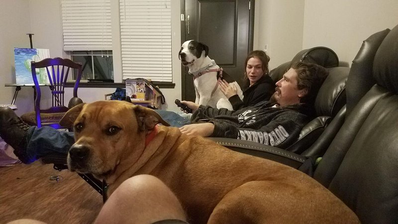 Dustin M. Britton - Photo 15