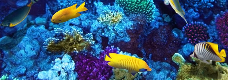 Fred L Schultz - Photo 2