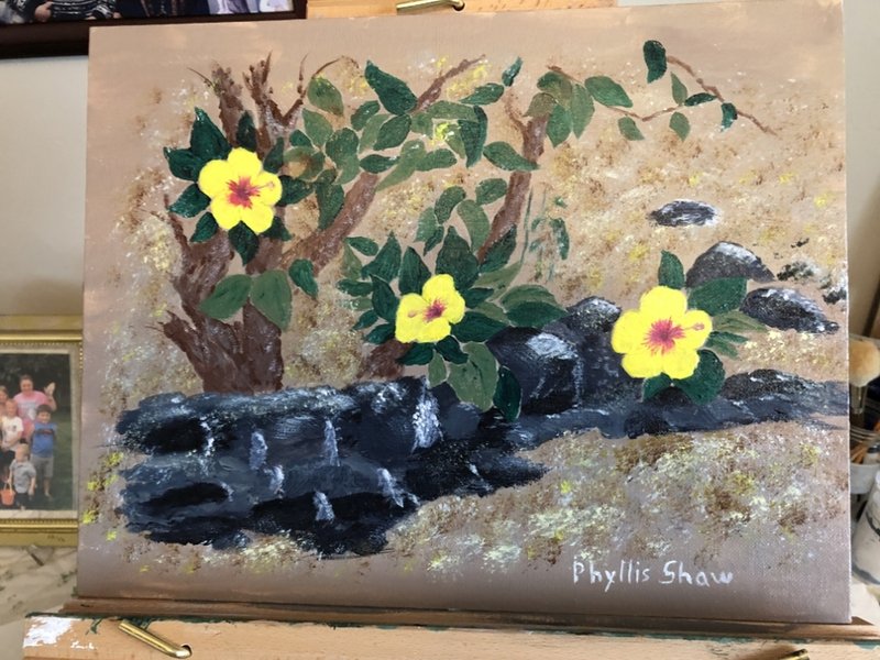 Donald Francis Friend - Photo 6