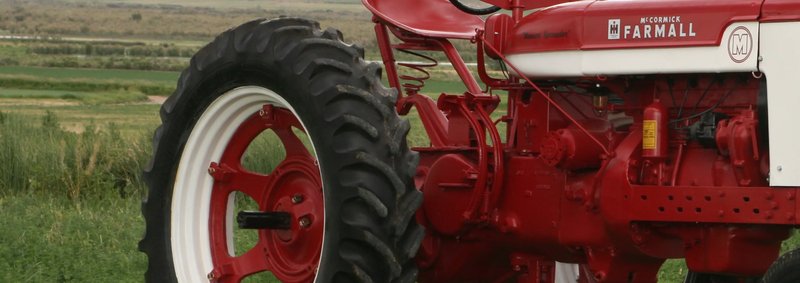 Benny P. Morelli - Photo 2