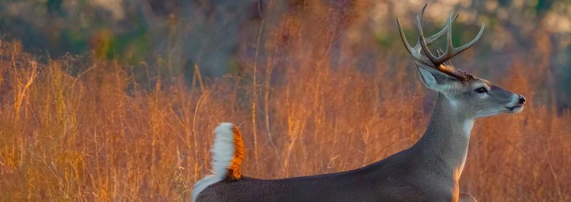 Troy M. Judeika - Photo 2