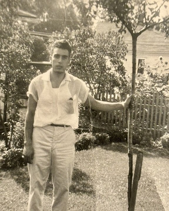 Umile Andrea Covelli - Photo 29