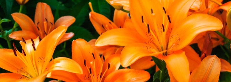 Pamela Michelle Werner - Photo 3