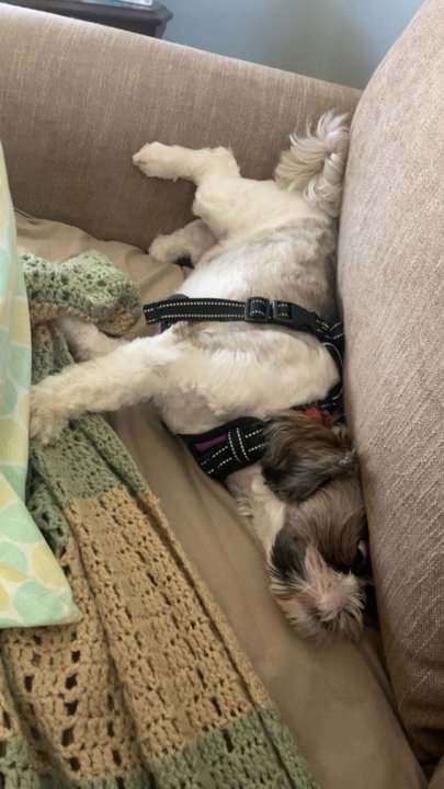 Joyce B Fisher - Photo 5