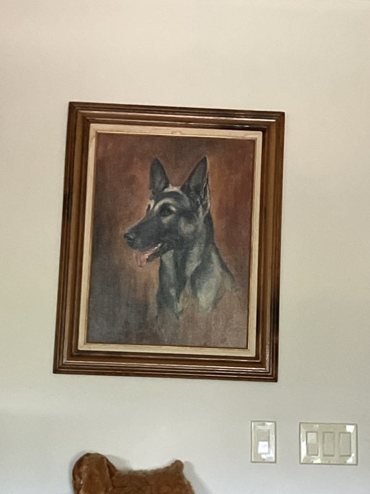 Rosalie F. Rogers - Photo 20