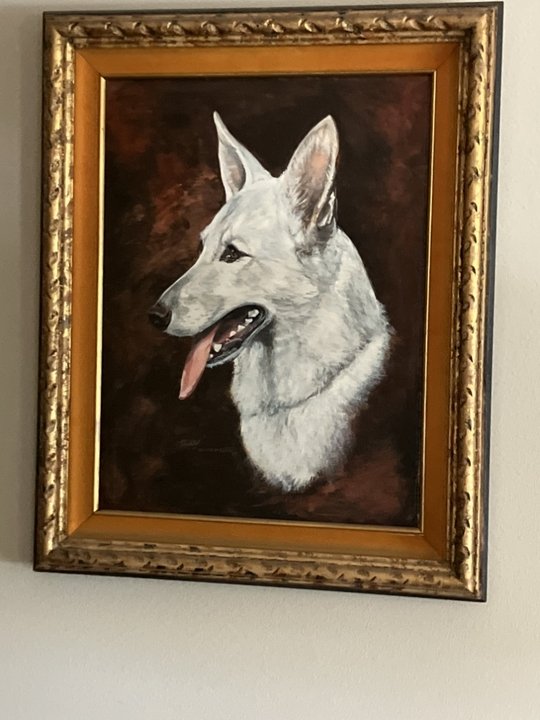 Rosalie F. Rogers - Photo 21